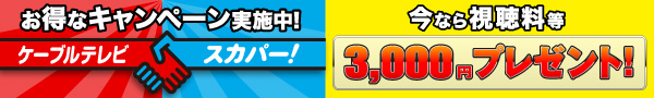 お得なキャンペーン実施中！